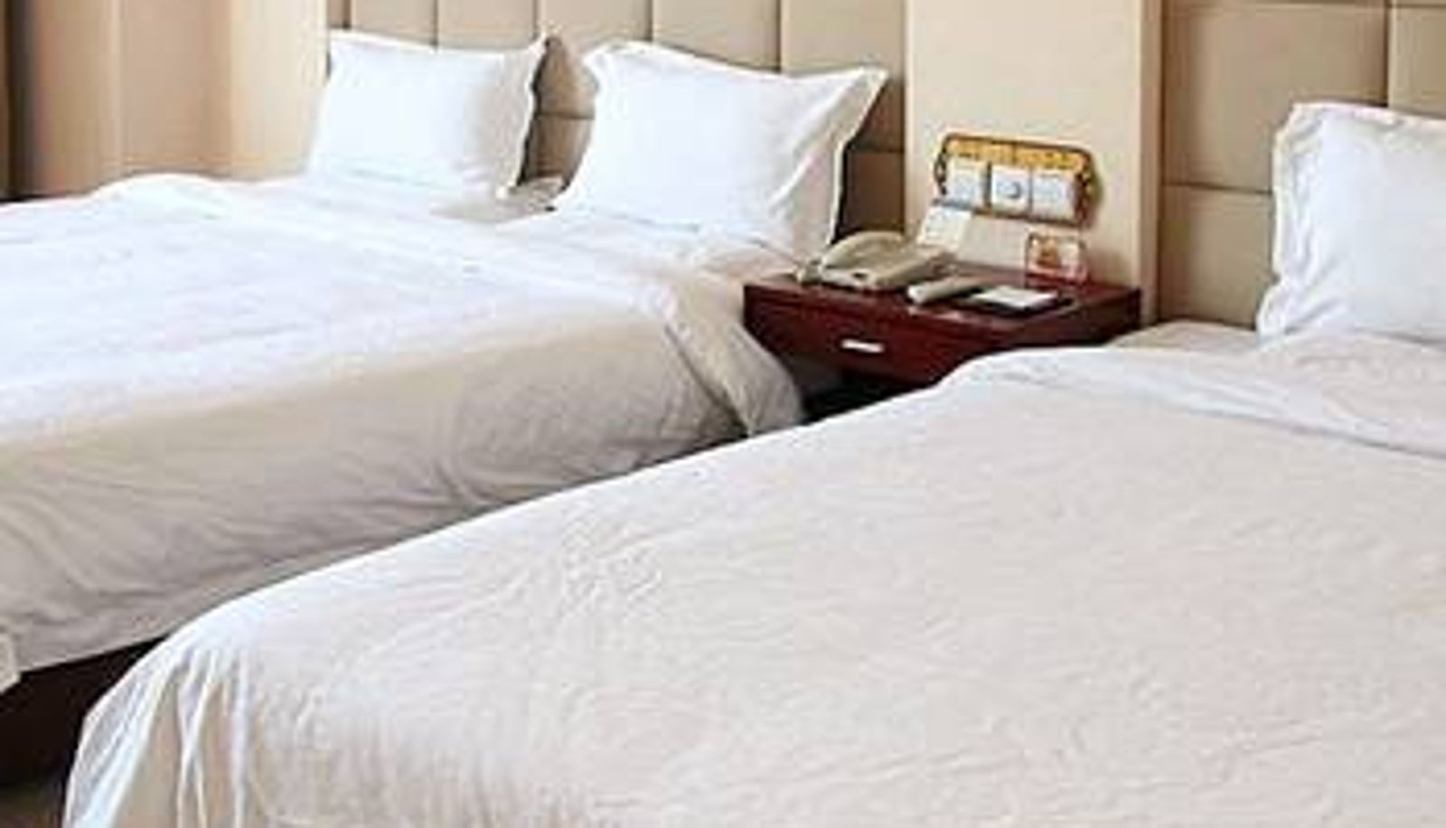 Zimmer - C and D Hotel Xiamen