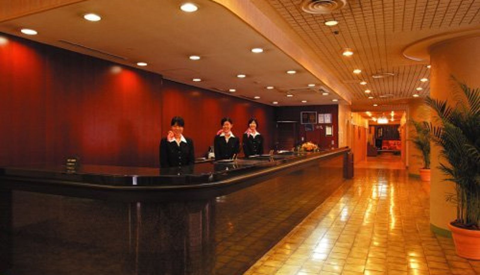 Información - Hakata Green Hotel No.2