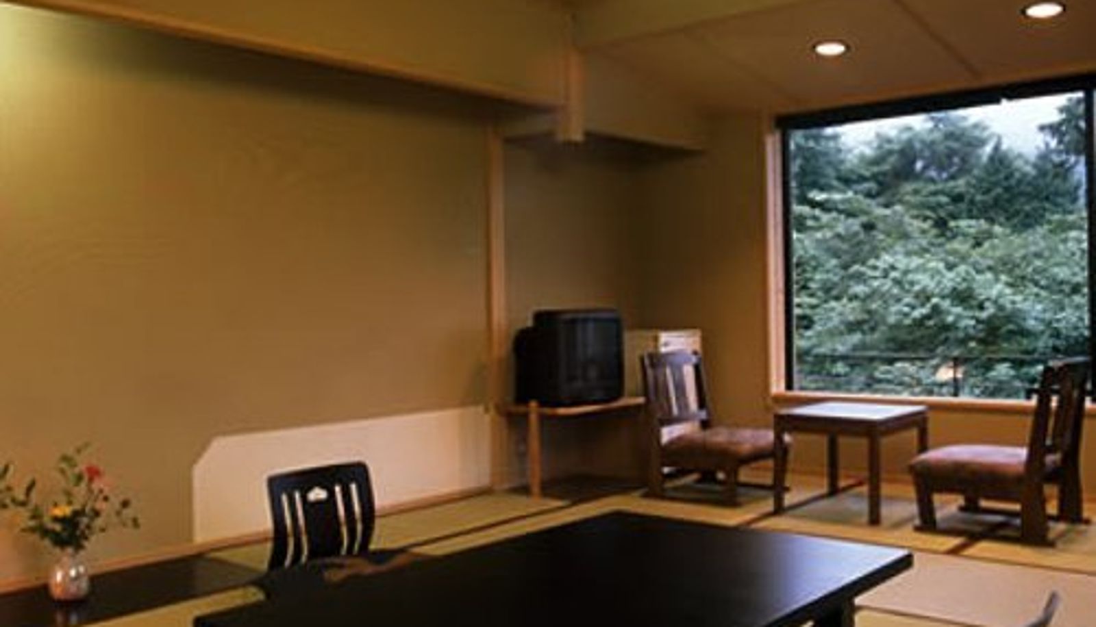 Standard room (double) - (RYOKAN) Ashinoko Onsen Yugiriso