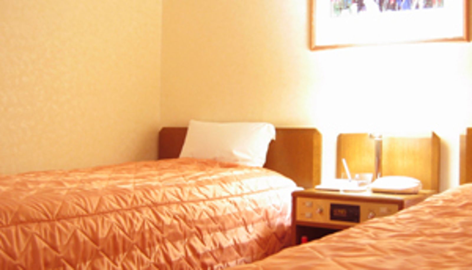 Standaardkamer (tweepersoons) - Hotel Liondor
