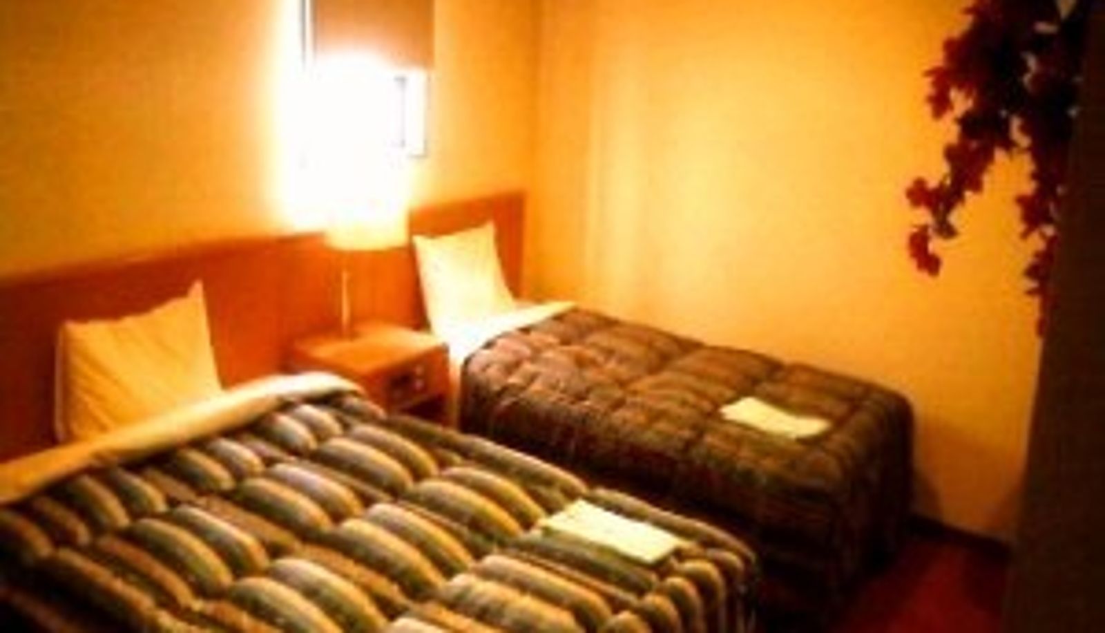 Pokój standardowy (dwuosobowy) - Hotel Bougainvillea Akebonobashi