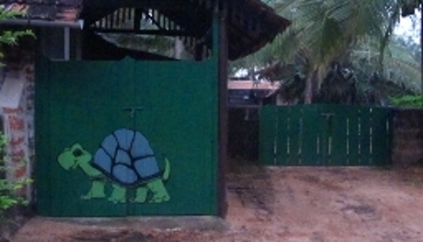 Info - Turtle Bay on Sea A Justa Resort