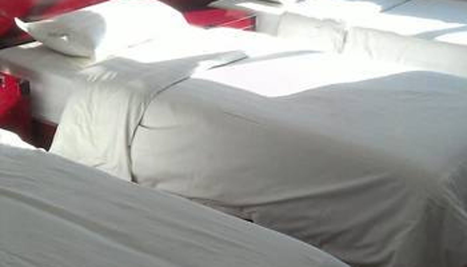 Zimmer - 北京金鹏盛嘉酒店