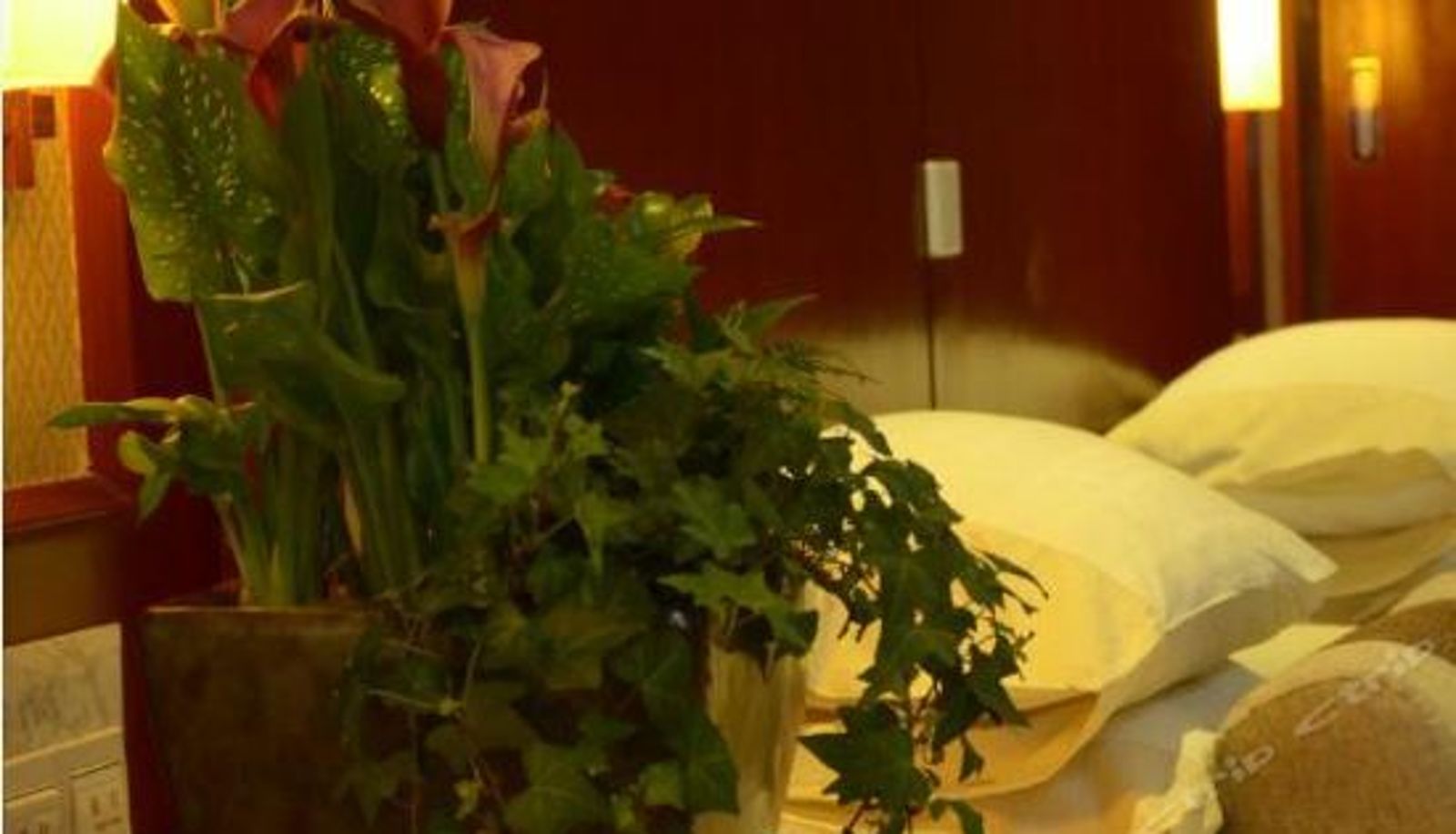 Business-Zimmer - Yinruilin International Hotel