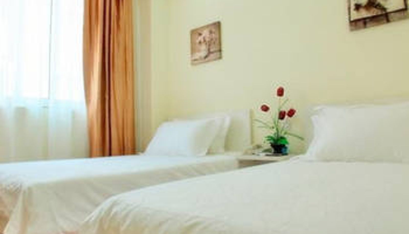Room - ShangHai DaYuan Hotel