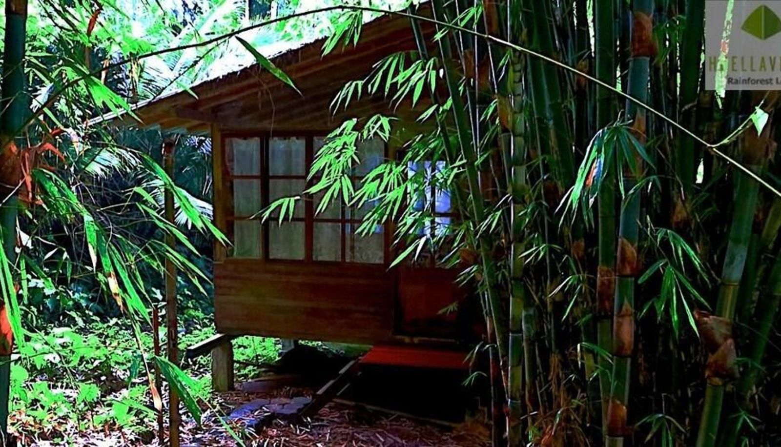 Camera standard - Huella Verde Rainforest Lodge