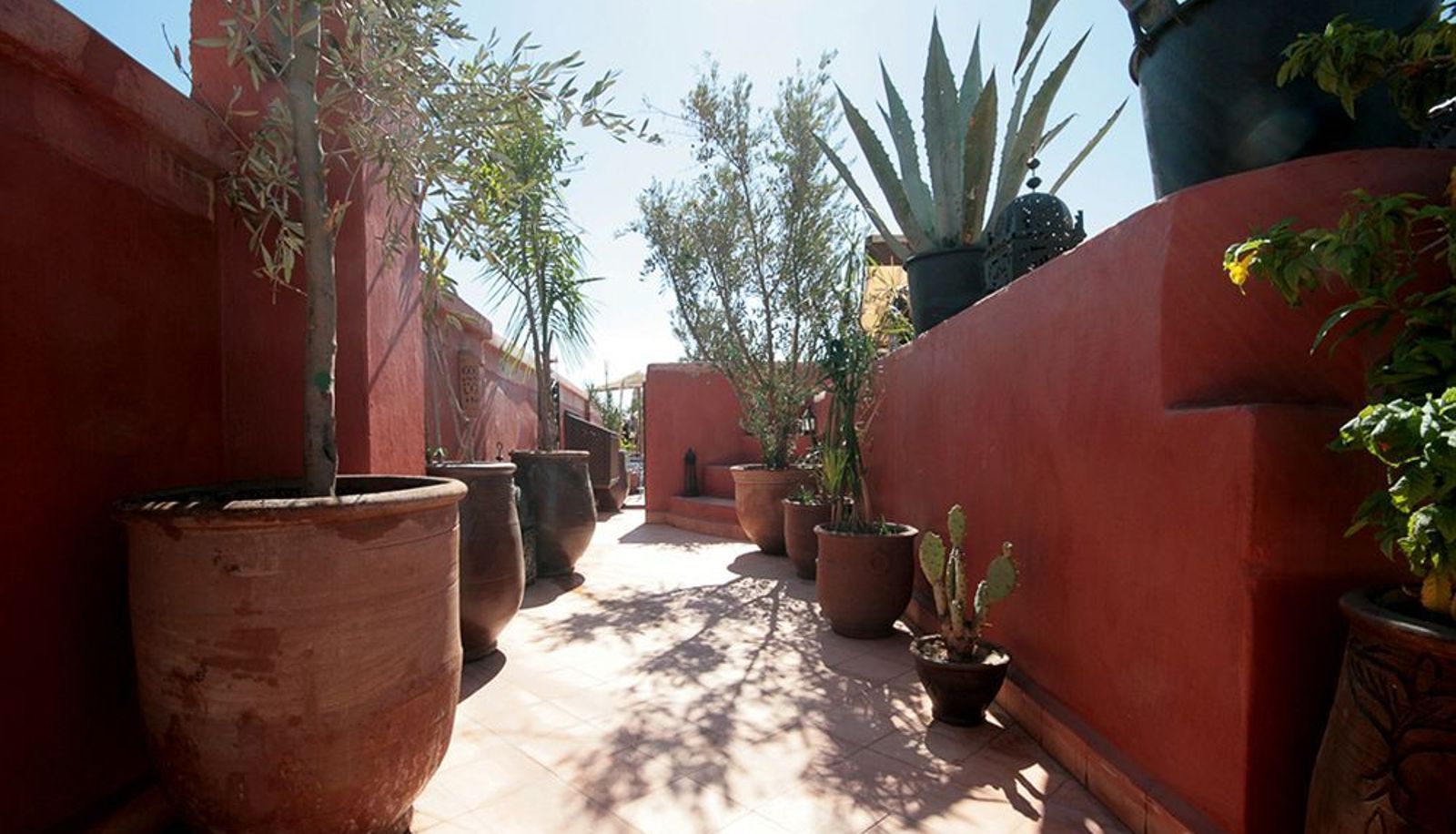 Interieur van het hotel - Hôtel & Spa Riad Dar El Aïla