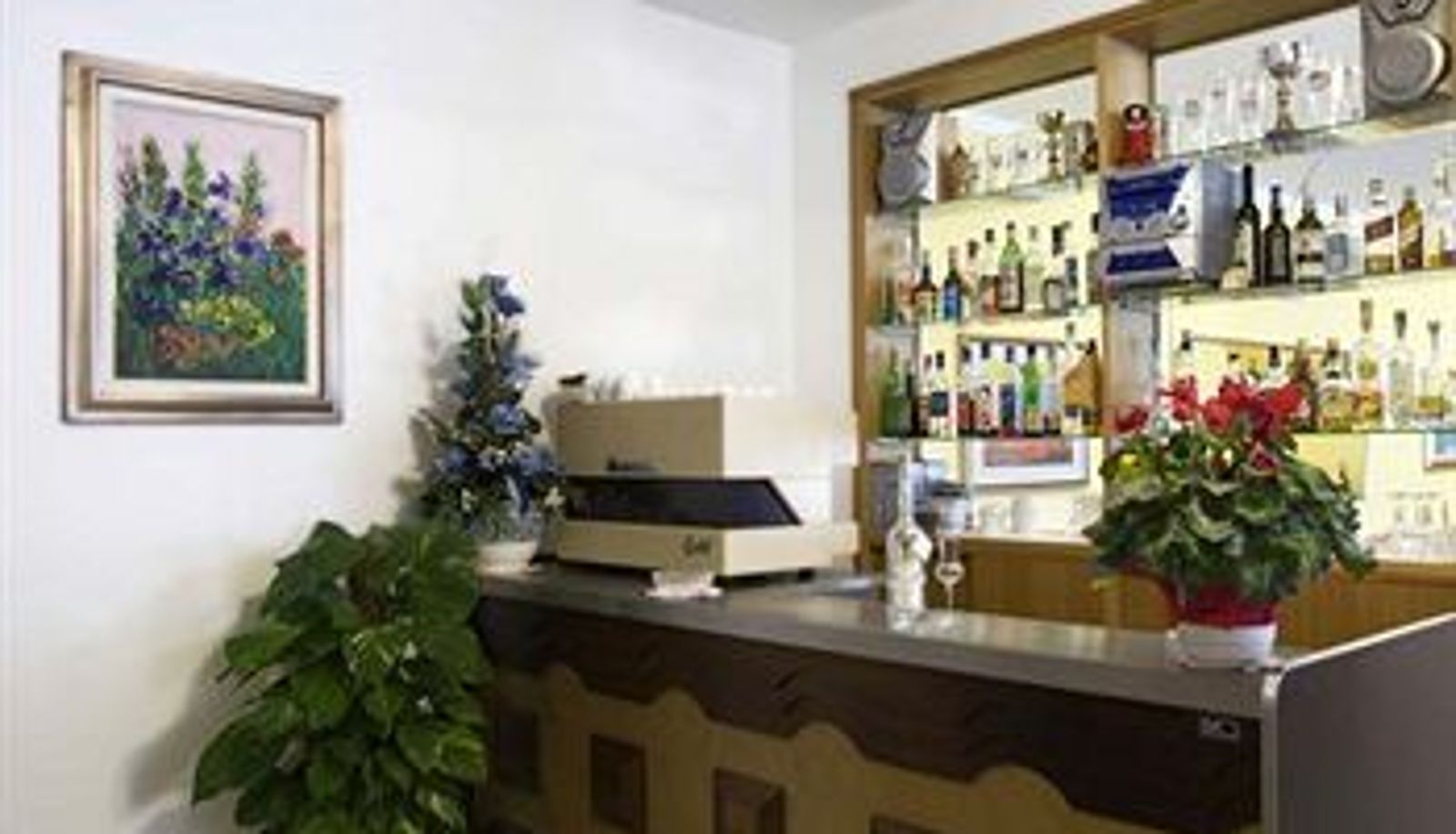 Bar - Hotel Tirrenia