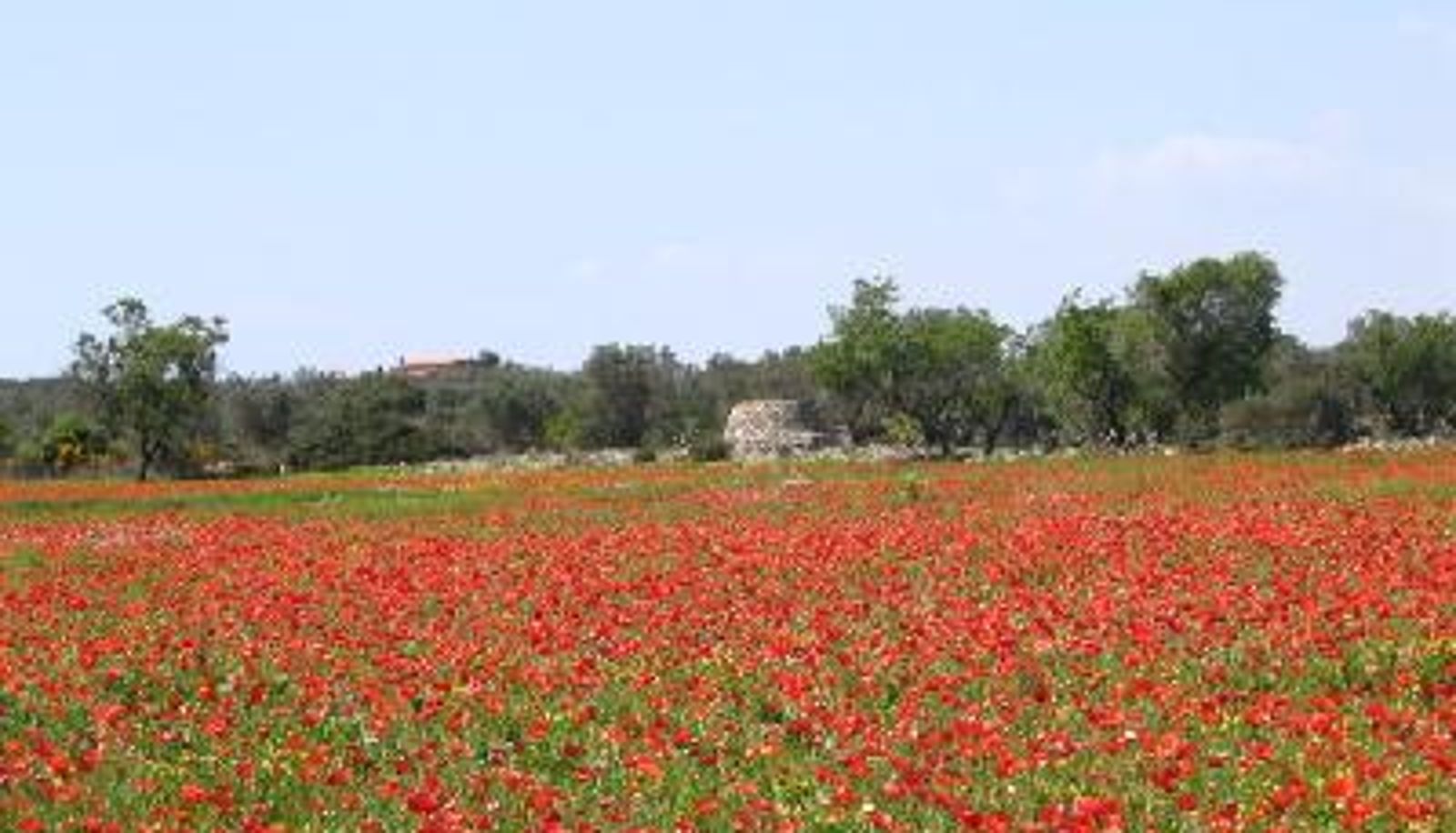 Info - Villa Letizia