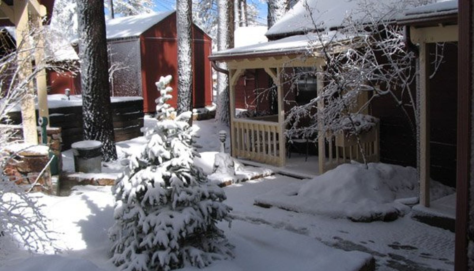 Außenansicht - Cozy Hollow Lodge