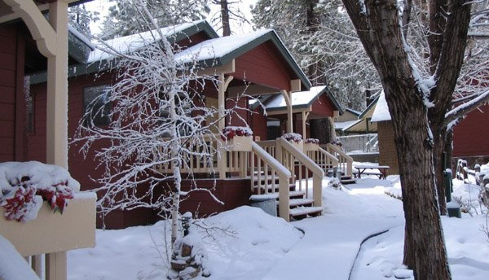 Info - Cozy Hollow Lodge