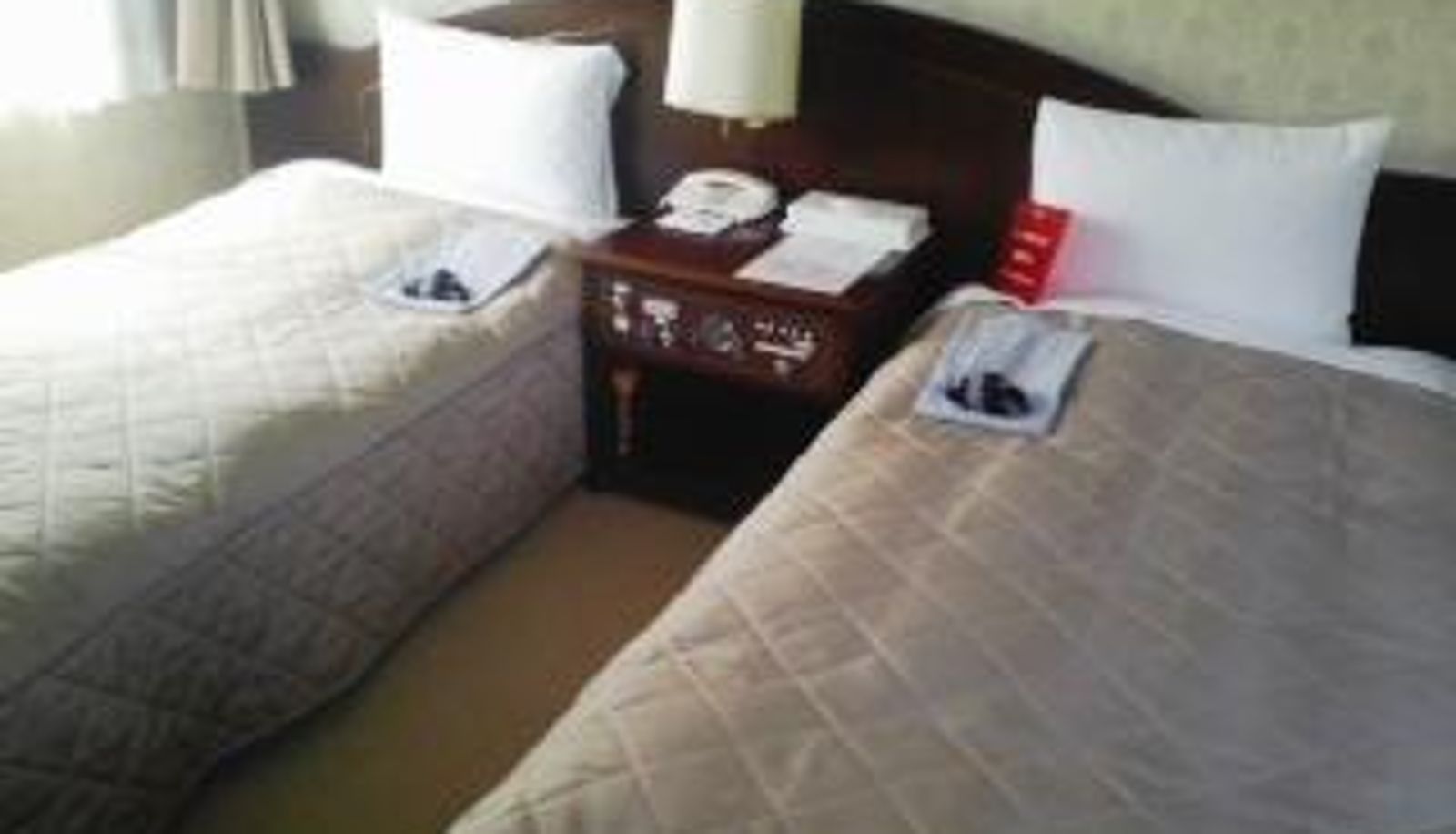 Camera standard (doppia) - Hotel Pine Hill Ayase