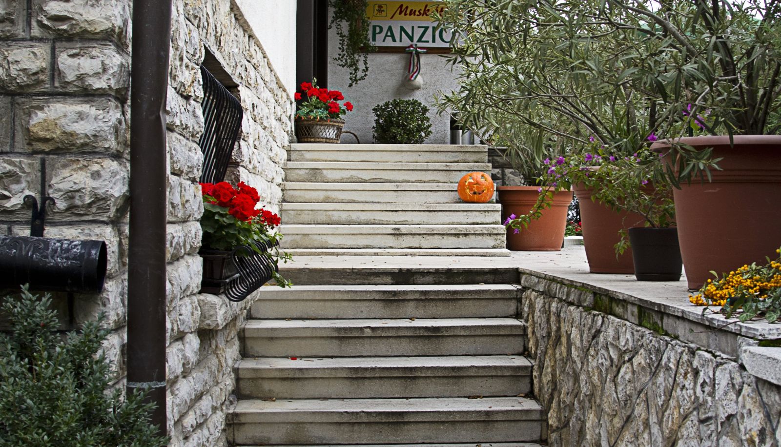 Terrazza - Muskátli Panzió