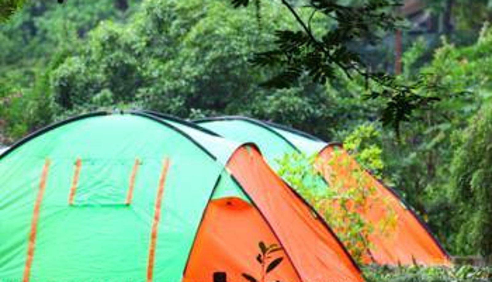 Kamer - Hangzhou Roots Resort