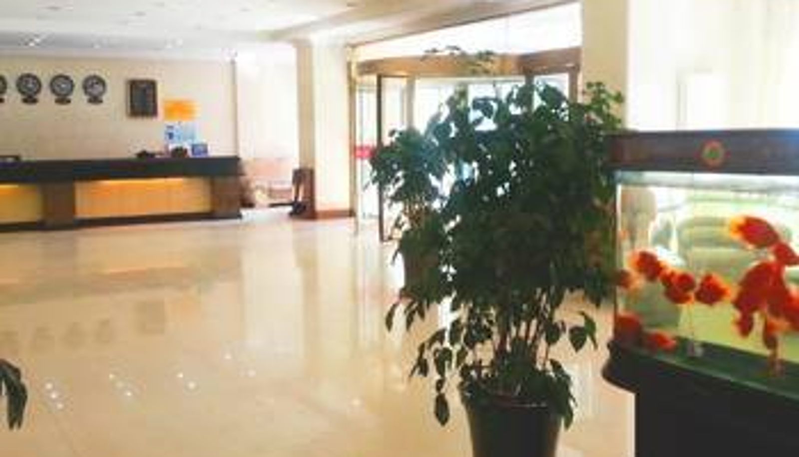 Hall - 西宁新大陆商务宾馆