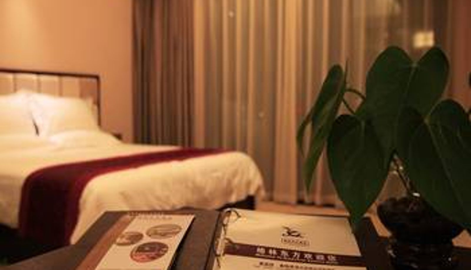 Camera - GreenTree Eastern Hotel