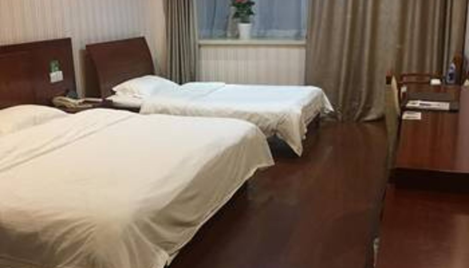 Zimmer - Zhoushan GreenTree Inn - New City Business Hotel