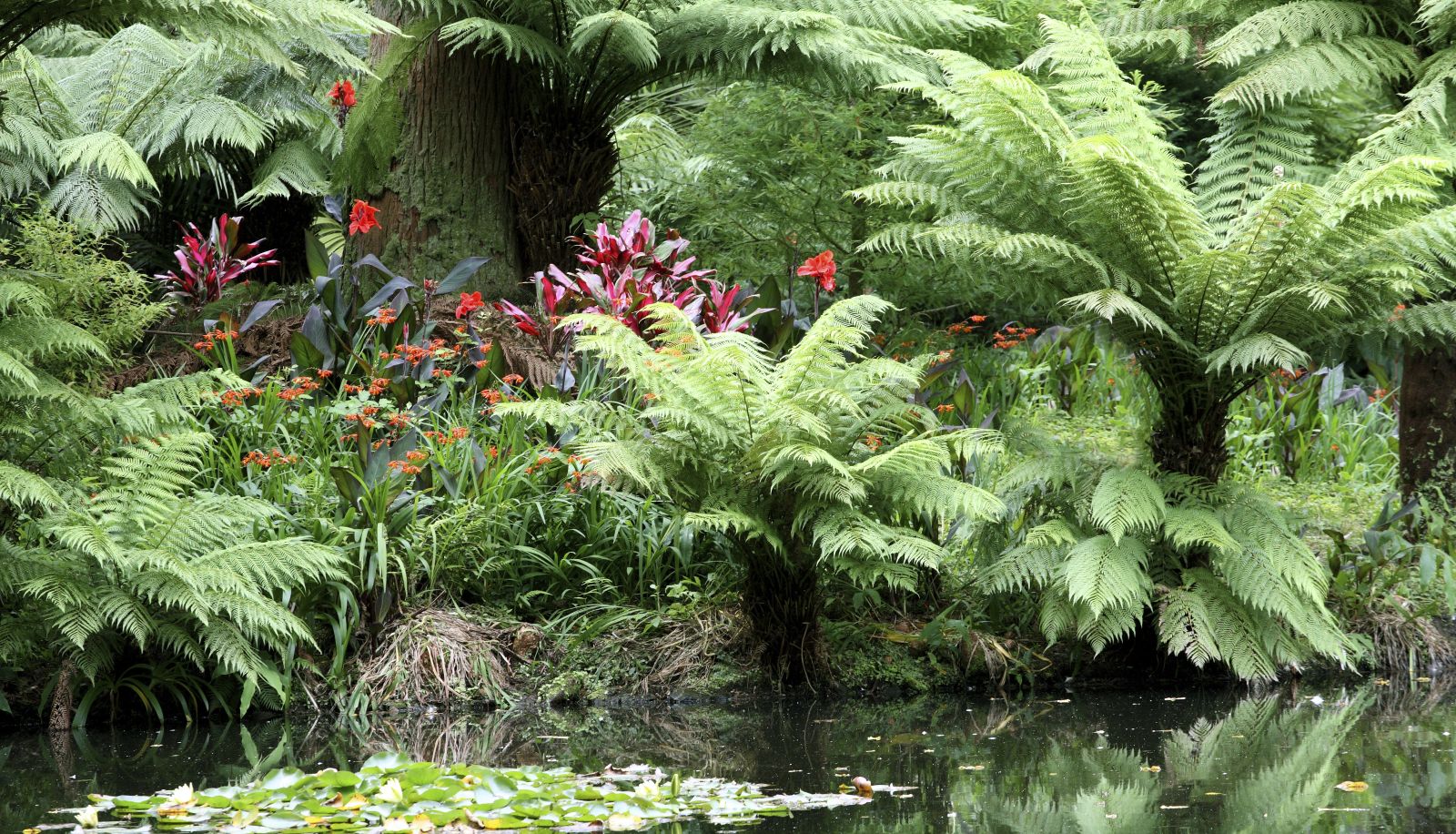 Garden - Furnas Boutique Hotel – Thermal & SPA