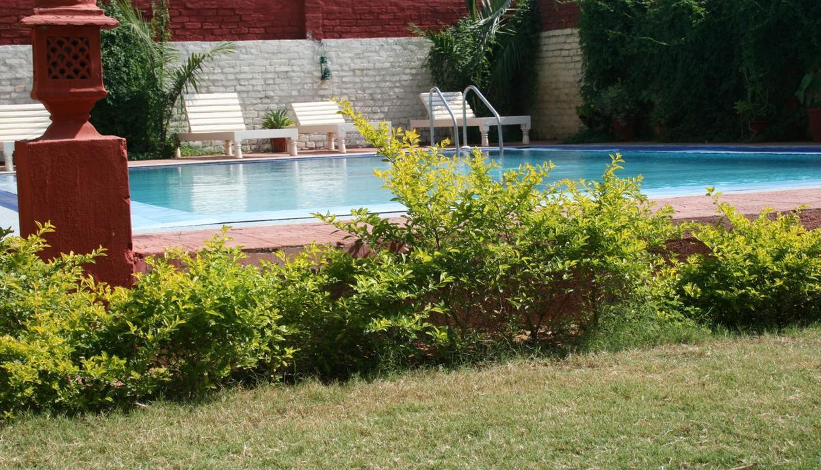 Pool - Tiger Safari Resort