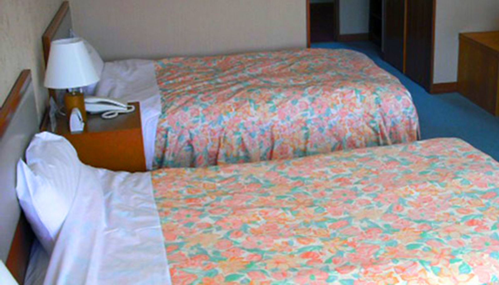 Pokój standardowy (dwuosobowy) - (RYOKAN) Izunagaoka Keikyu Hotel