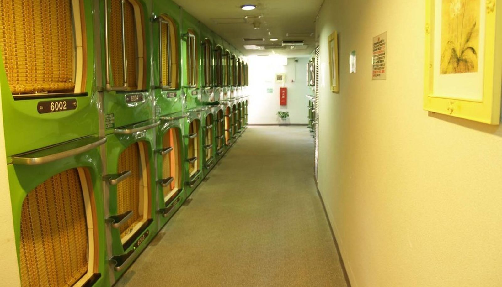 Standardzimmer (Einzel) - Capsule Inn Okinawa
