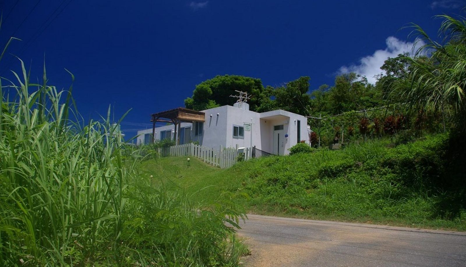 Camera standard (doppia) - English Garden Cottage