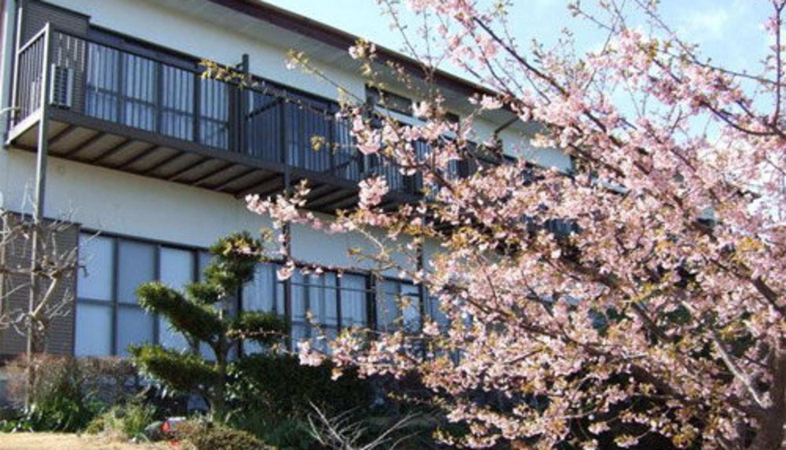 Buitenaanzicht - Imaihama Onsen Seikaiso