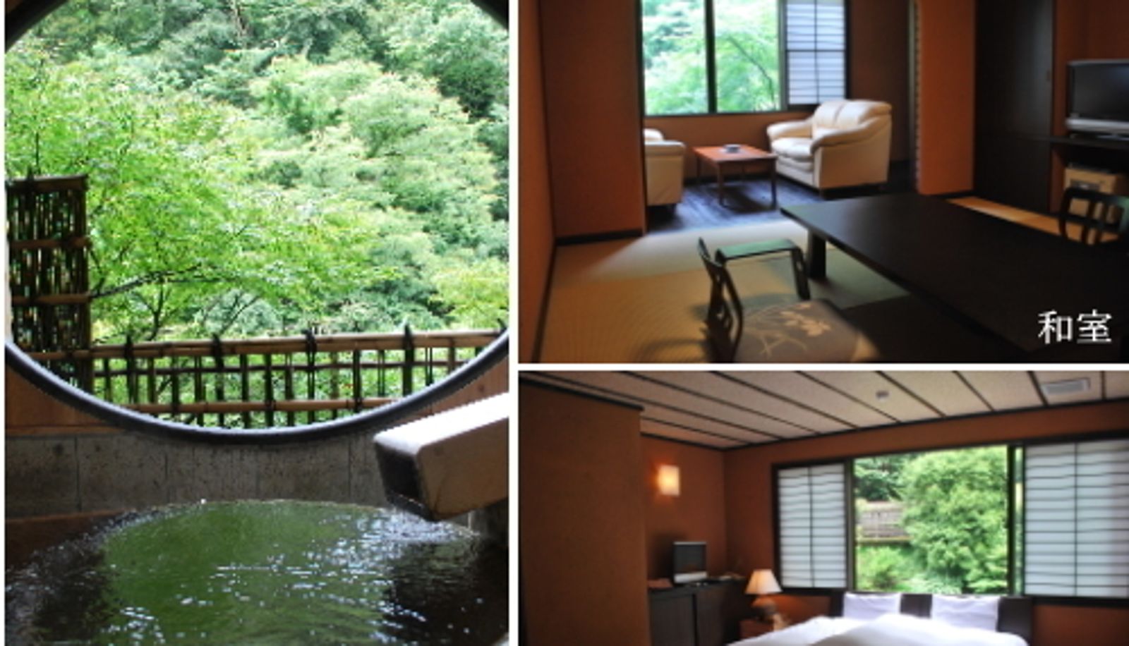Room with river view - Hakone Onsen Shiunso