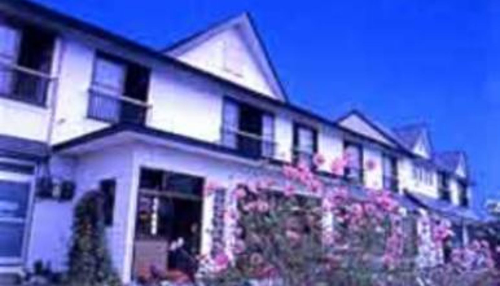 Vista esterna - (RYOKAN) Resort Inn Michinoku
