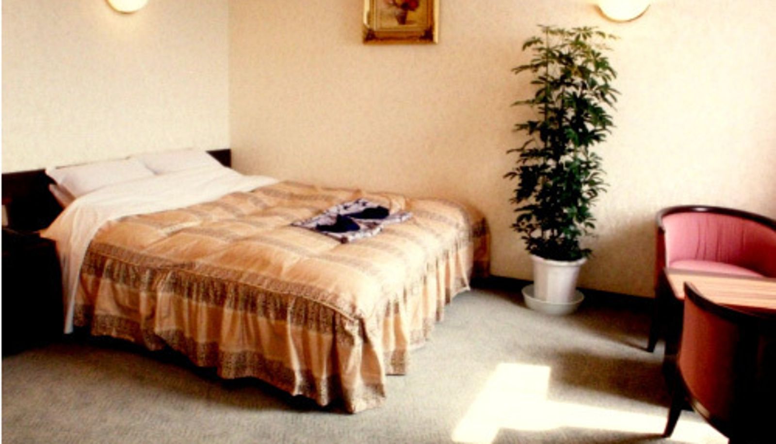 Standardzimmer (Doppel) - Business Hotel Del Sol