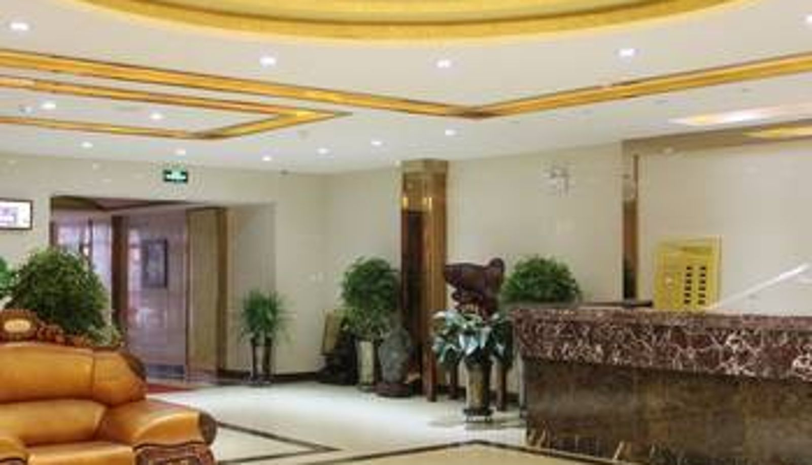 Hall - Xinjiayuan Business Hotel (Ürümqi Diwopu International Airport)