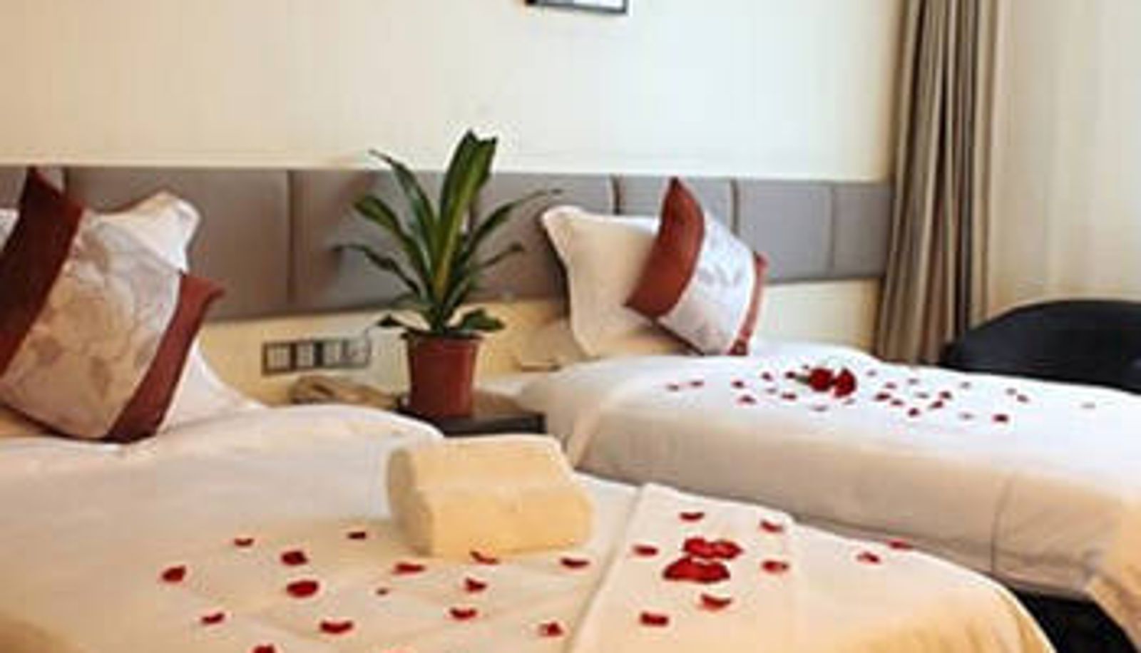 Room - Yahe Business Hotel (Jinjiang International Airport Branch)