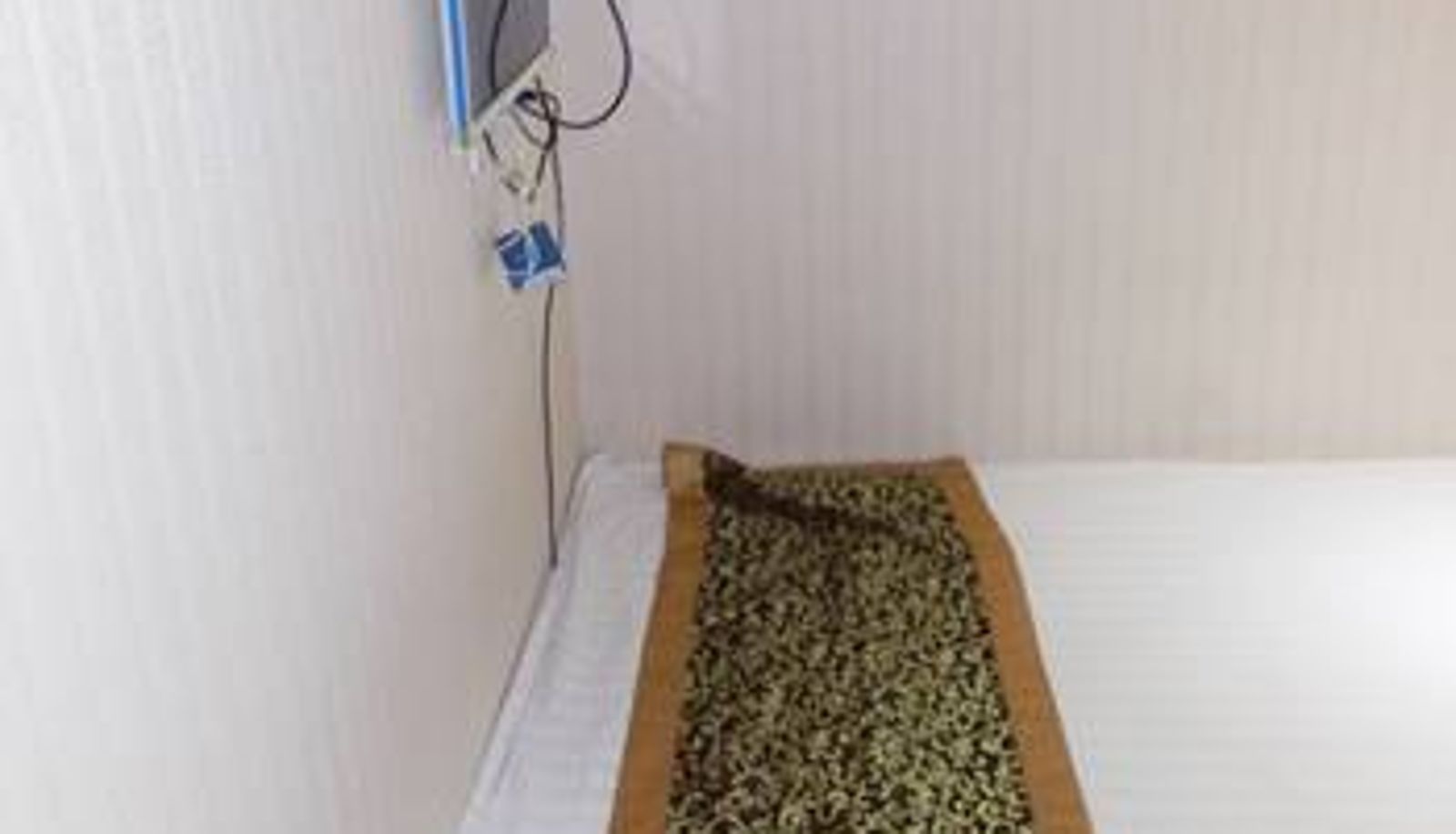 Chambre - Jiannan Hotel