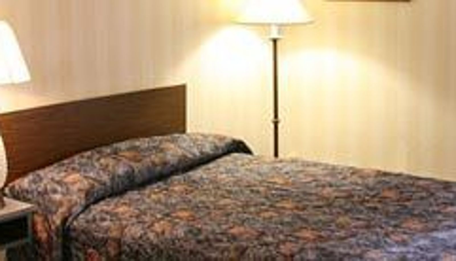 Standard room (single) - Springs Motor Inn