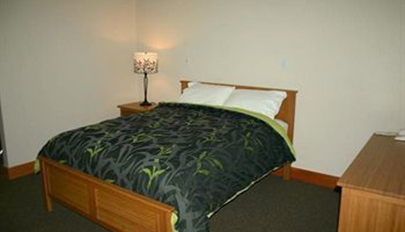Camera standard (singola) - The Lodge At Skeena Landing