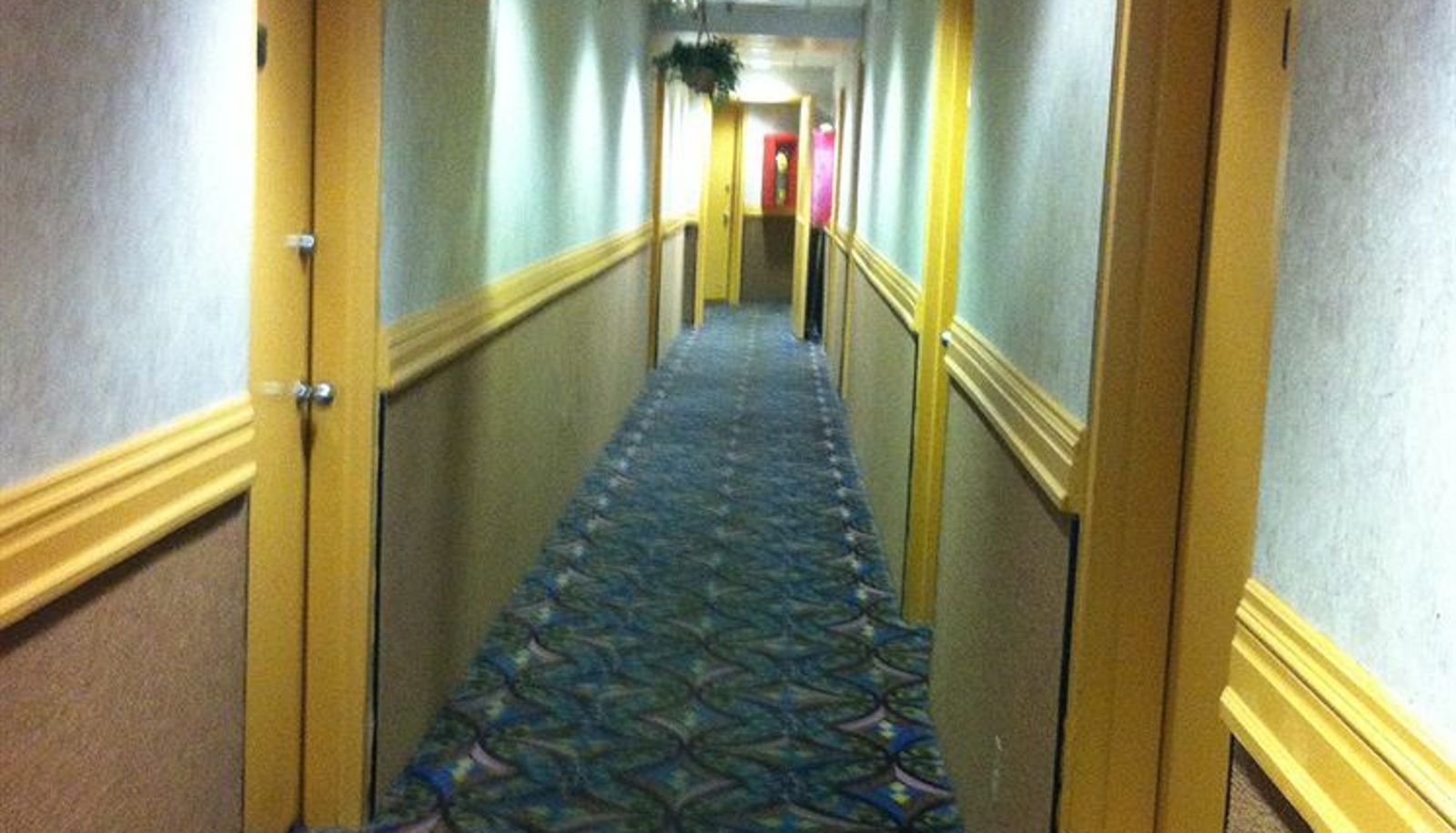 Interno dell'hotel - Linden Motor Inn