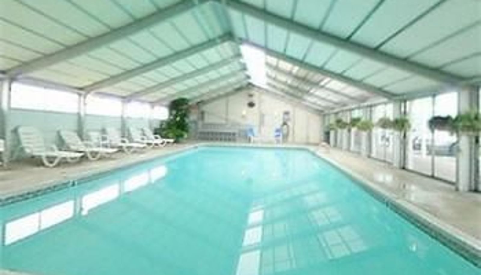 Basen - Seahawk Motel