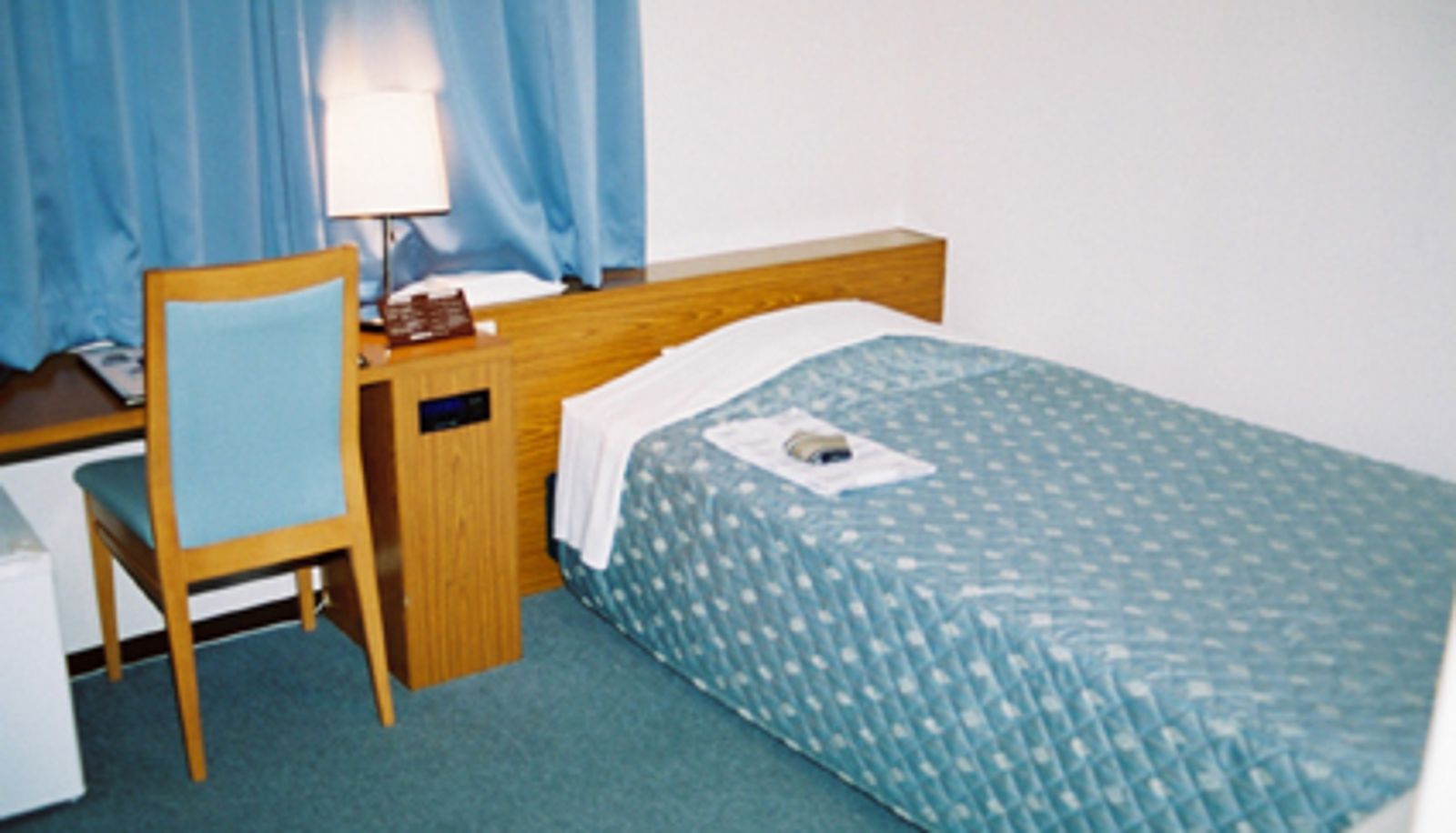Camera standard (singola) - Echizenya Hotel (Niigata)