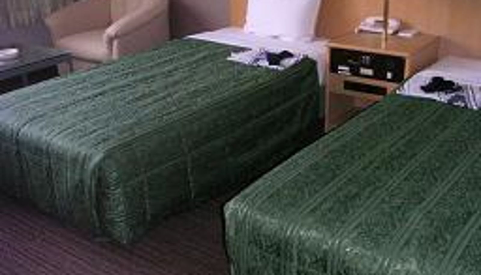 Standardzimmer (Doppel) - Hikone Biwako Hotel