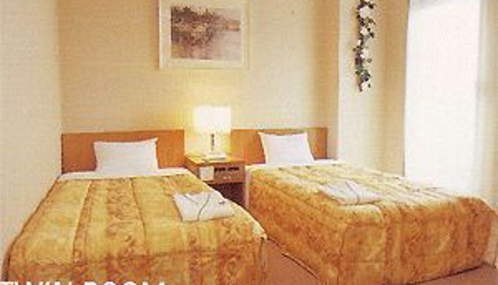 Pokój standardowy (dwuosobowy) - Station Hotel Miyako