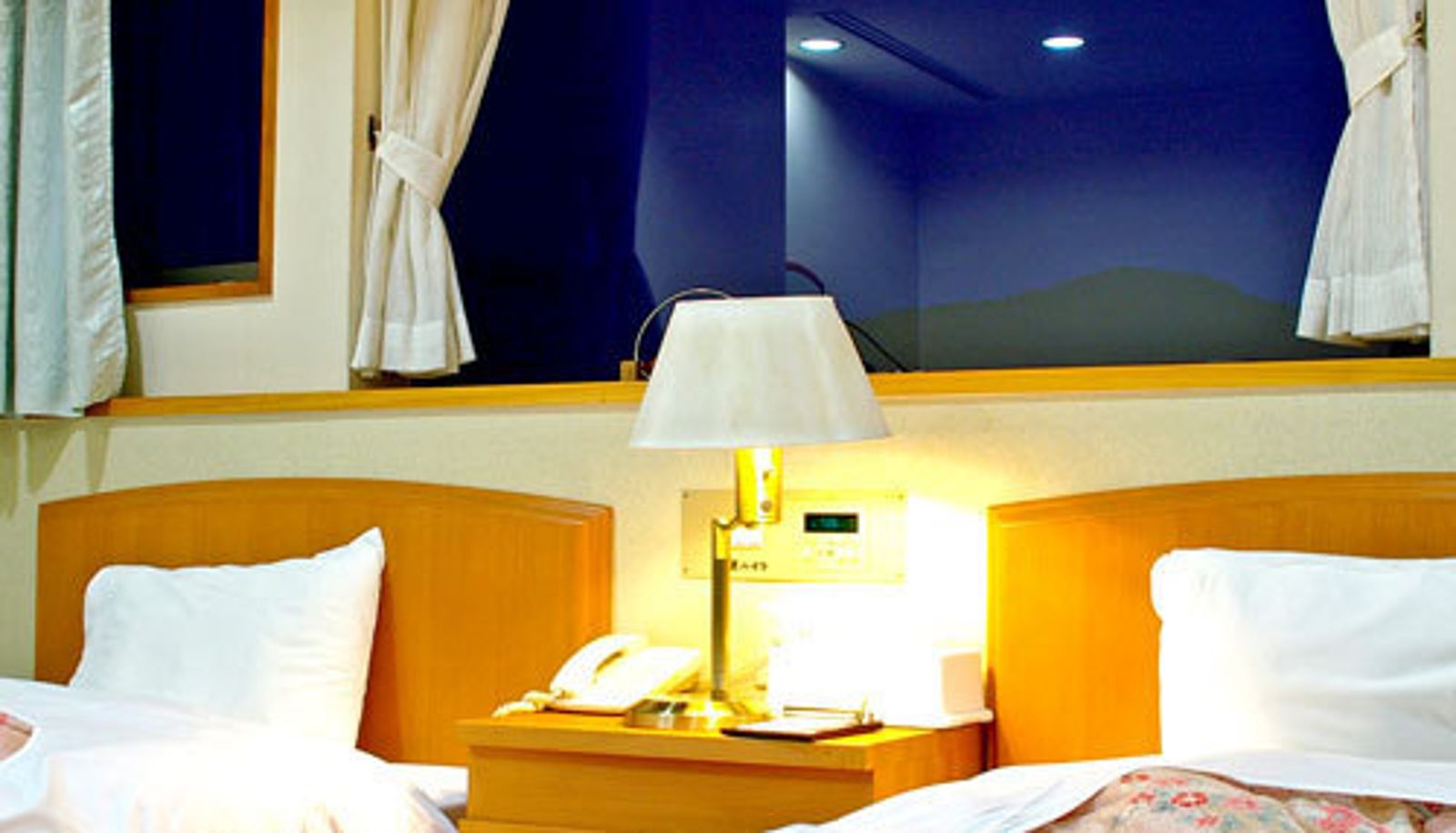 Chambre standard (double) - (RYOKAN) Ikoinoyado Ako Haitsu