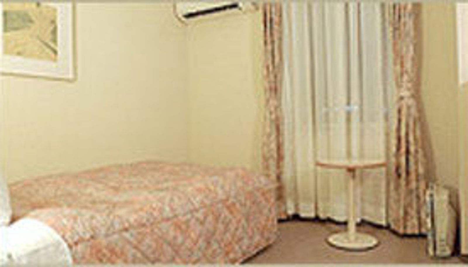 Standardzimmer (Einzel) - Hotel Amuse Tomioka