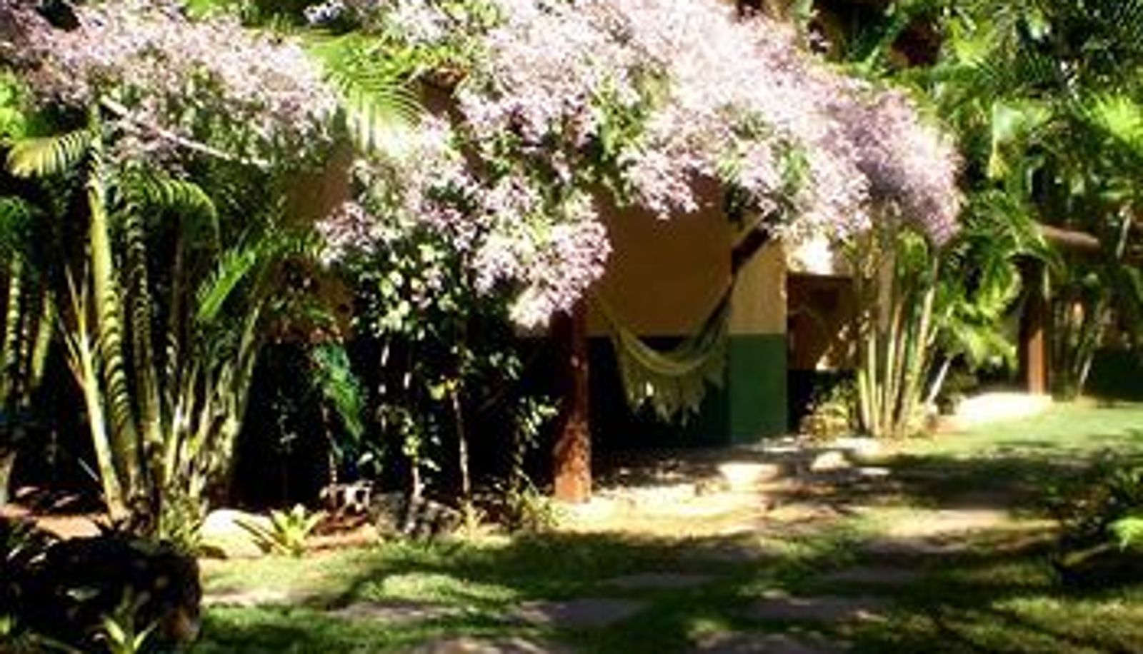 Jardín - Pousada Pé da Mata