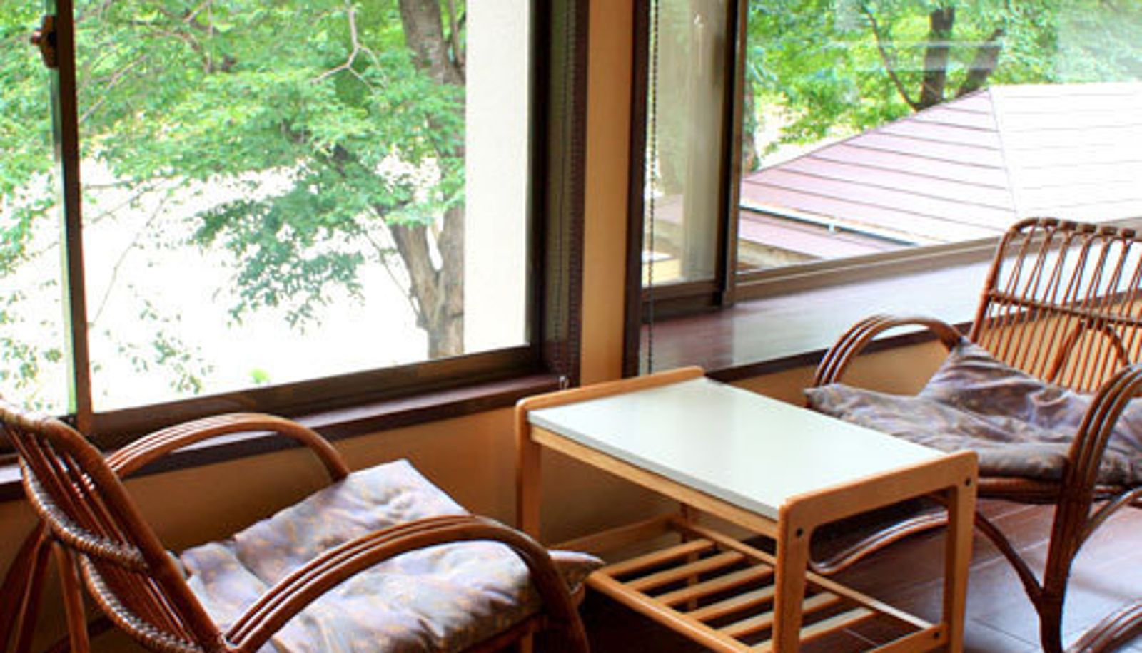 Standaardkamer (tweepersoons) - (RYOKAN) Tanaka Onsen Shinanoso