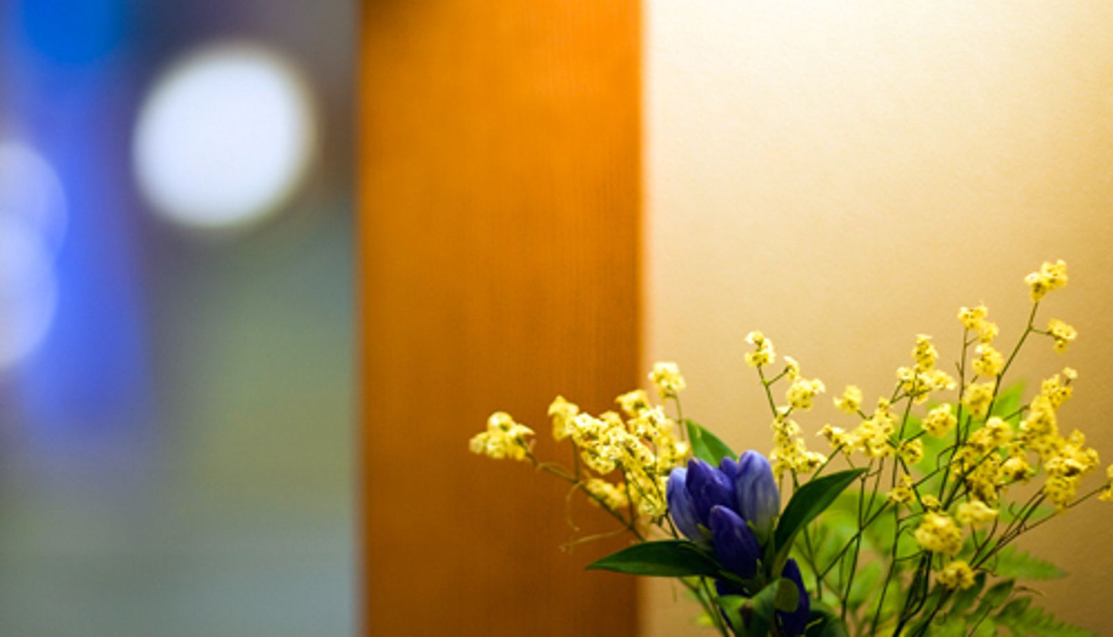 Standard room (double) - (RYOKAN) Nishiura Onsen Ginpaso