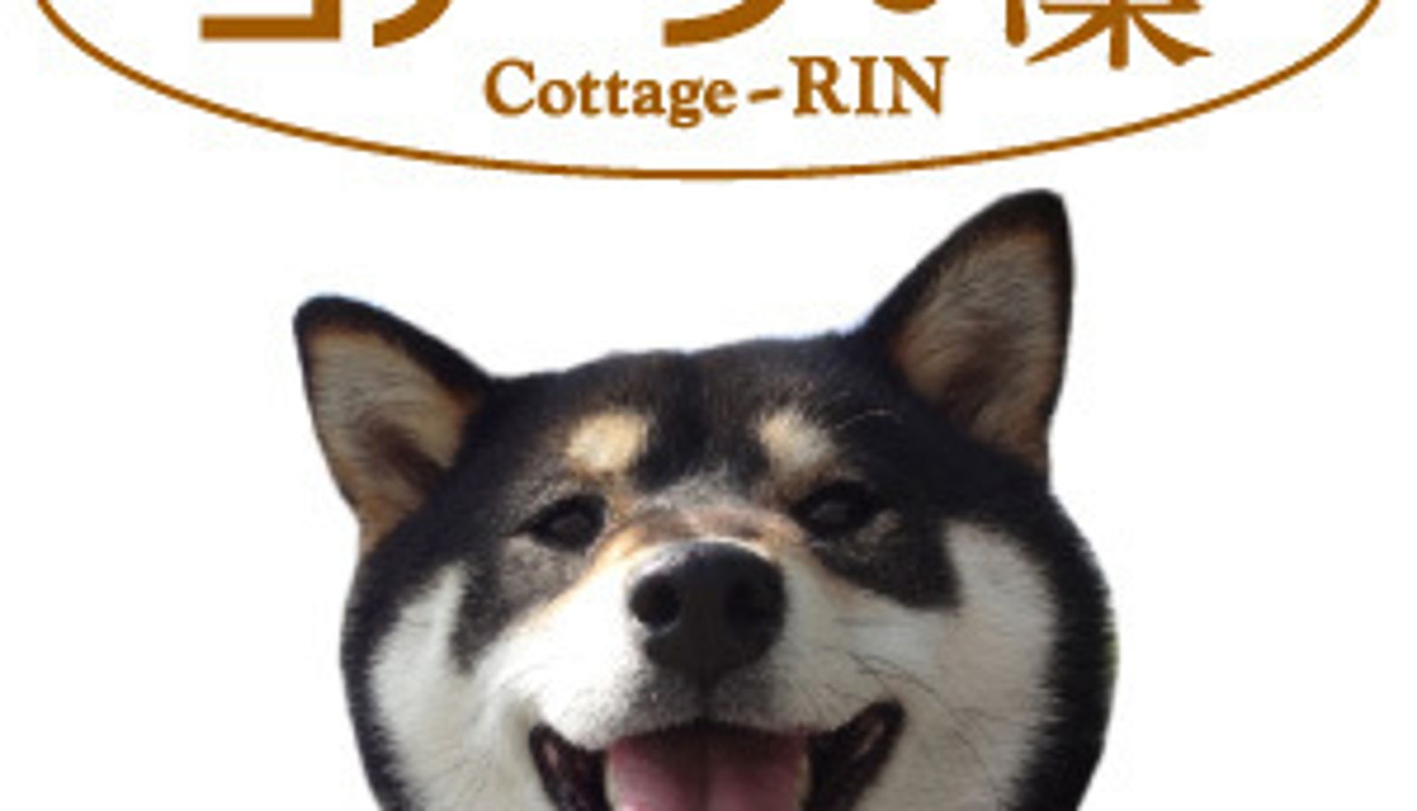 Camera standard (doppia) - Cottage Rin