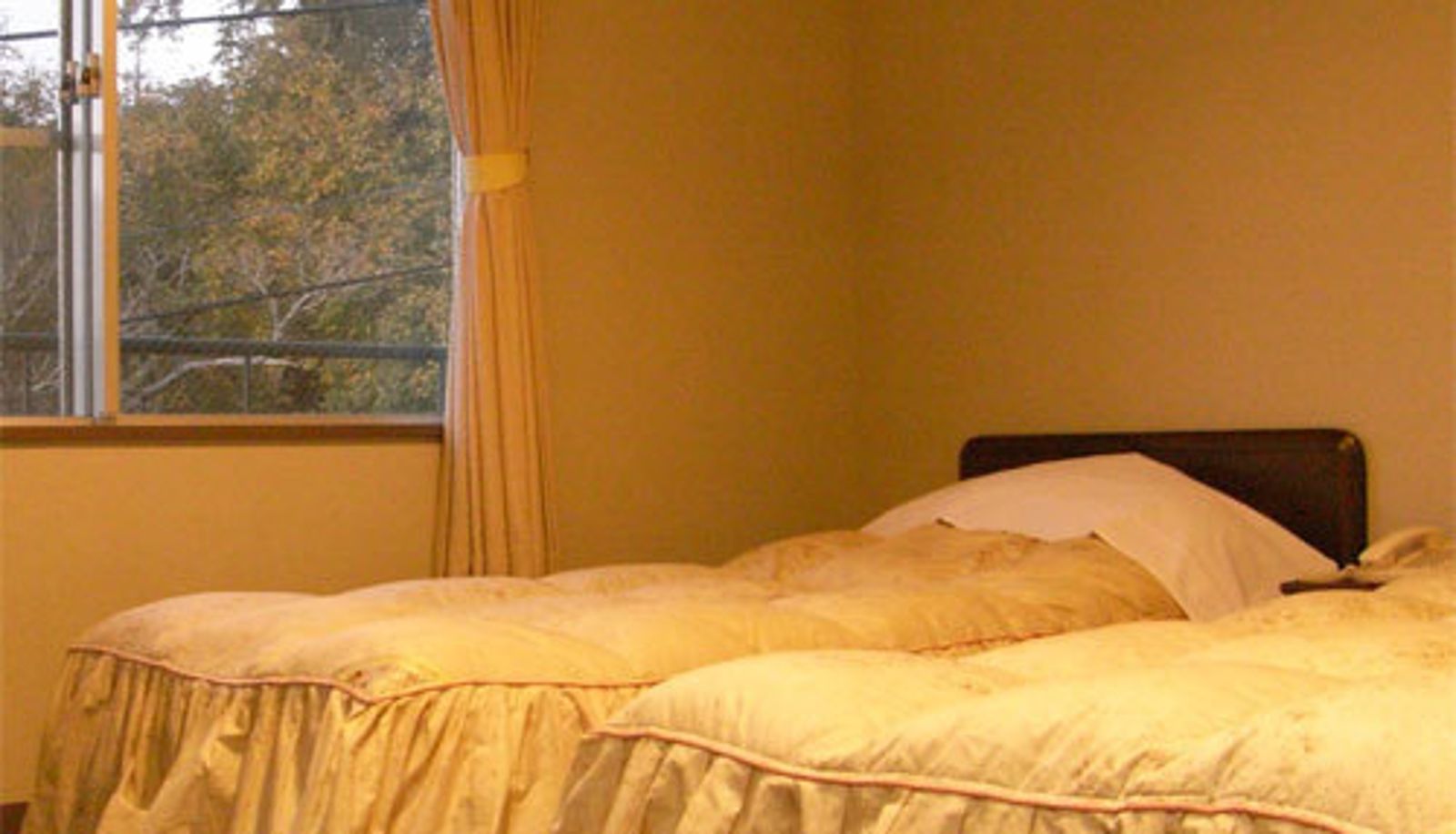 Standard room (double) - (RYOKAN) Tyrol and Shirakaba