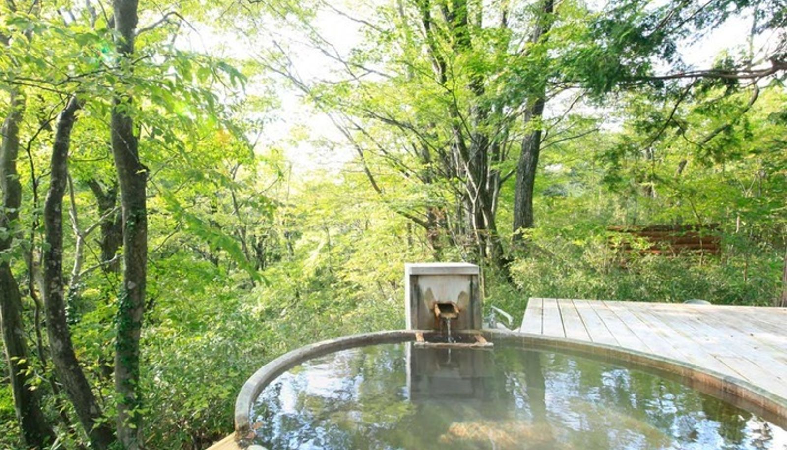 Standaardkamer (tweepersoons) - (RYOKAN) Onsen Sanso Daikon no Hana