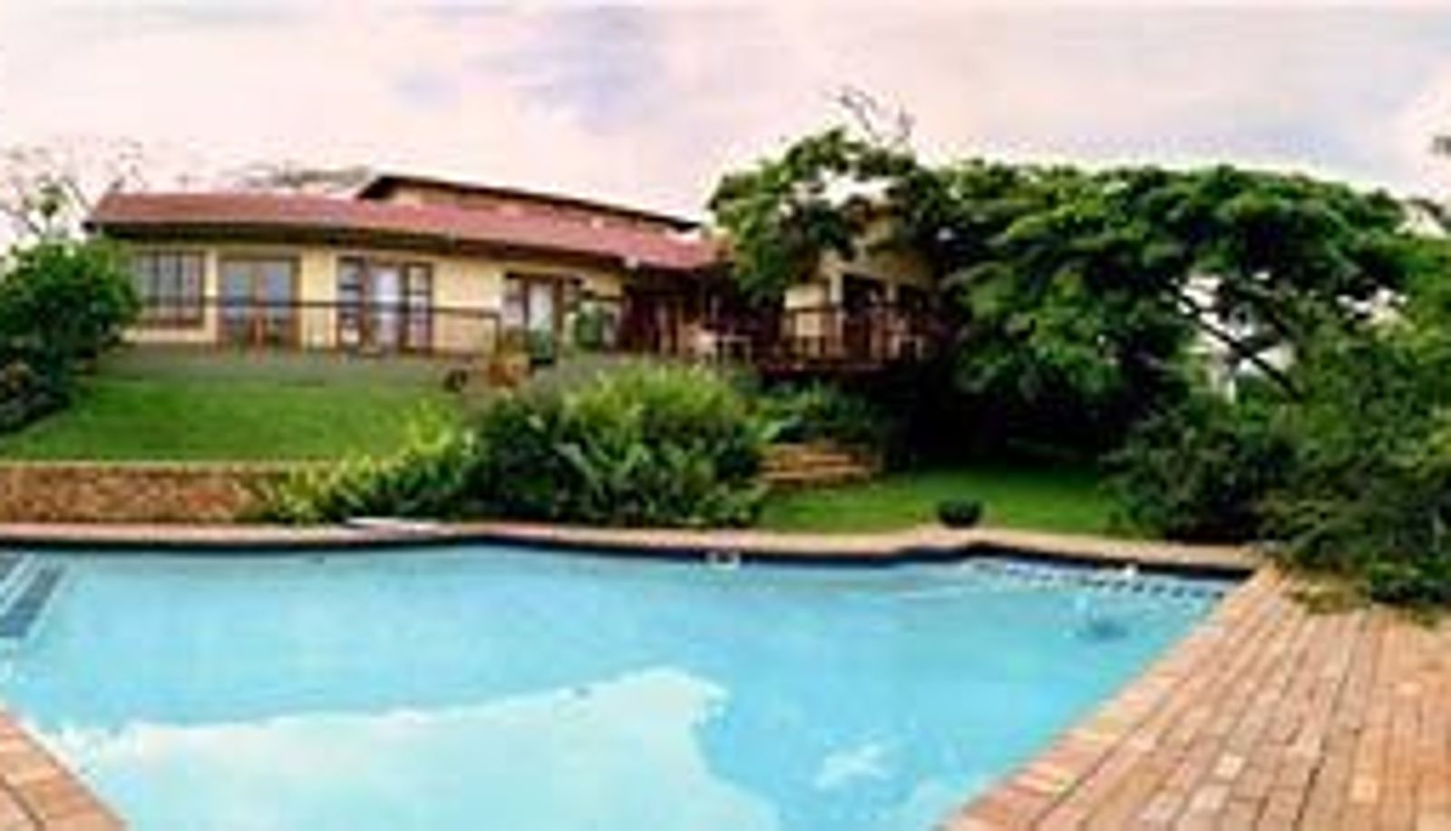 Zwembad - Umbrella Tree House