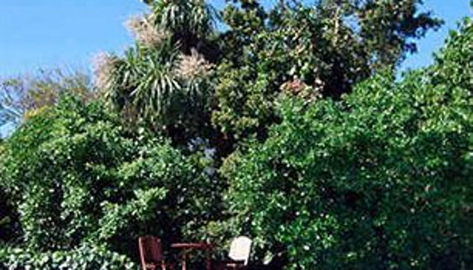 Piscina - Bayview Lodge